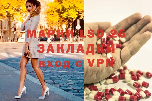 кокс Алзамай