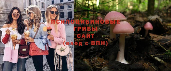 кокс Алзамай