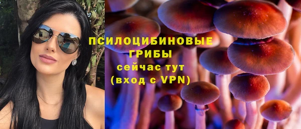 соль ск Алексин