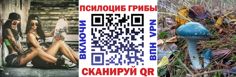 Псилоцибиновые грибы прущие грибы  цена наркотик  Чердынь 